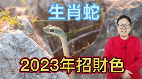 屬蛇的幸運色|【屬蛇顏色】2024屬蛇人幸運與禁忌之色：全面解析你的運勢指。